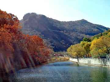 新澳天天开奖资料大全旅游团，误惹花心大少